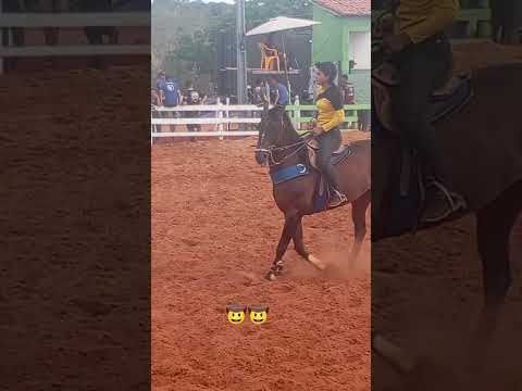 vaquejada Luislândia norte de Minas gerais