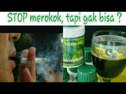Bagaimana merangsang gadis dengan tablet Aplikasi pengguna dari torus penurunan palu