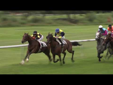 6. dostih - Cena prezidenta ČSCHPMDK - dostihy Karlovy Vary 5. 7. 2020