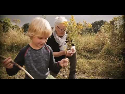 Gregor Meyle - Die Leichtigkeit des Seins (Offizielles Video) (2016)