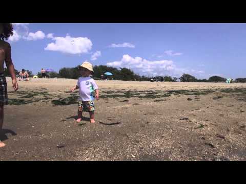 gary gurman at plum beach