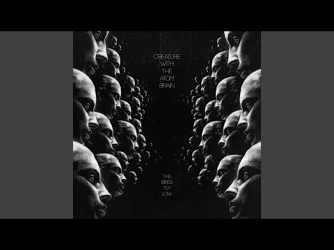 The Beauty of the Rain