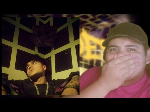 RT REACCIONA Y RECOMIENDA A - FINDES - IBARRA & DIMELOW PRO