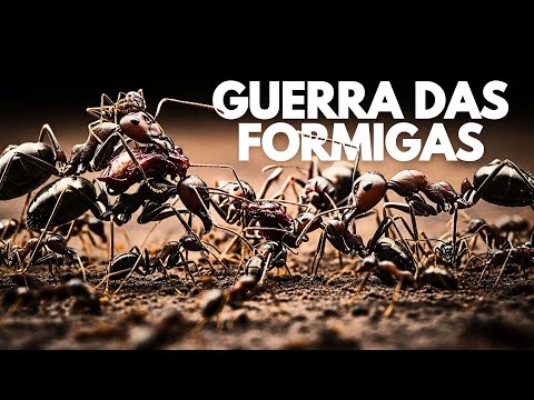 WORLD WAR OF THE ANTS - The Oldest Conflict on Earth - Documentary