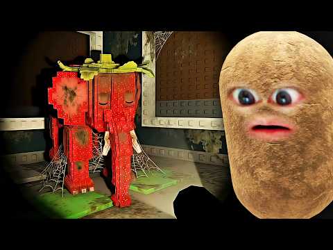 放棄されたブレインロットたちを発見した..