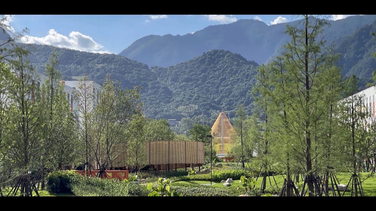 SESSION FOUR - DANIEL GASS - ON ISSUE-FOCUSED DESIGN