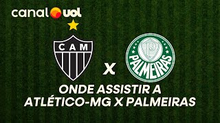 ATLÉTICO-MG X PALMEIRAS: ONDE ASSISTIR À TRANSMISSÃO AO VIVO DO JOGO E HORÁRIO PELO BRASILEIRÃO