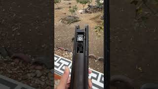 Birds sniping by airgun #hunting #airgunhunters #airgunhunting #birdshunting