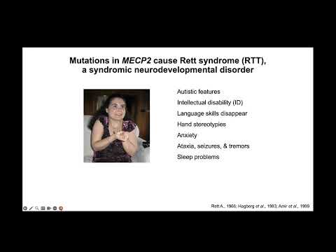NeuReport第49期回放｜自闭症谱系障碍的分子遗传基础 The molecular genetics of Autism: from bedside to bench and back