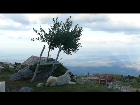 BJESHKA E STRELLCIT  3 - Reportazh