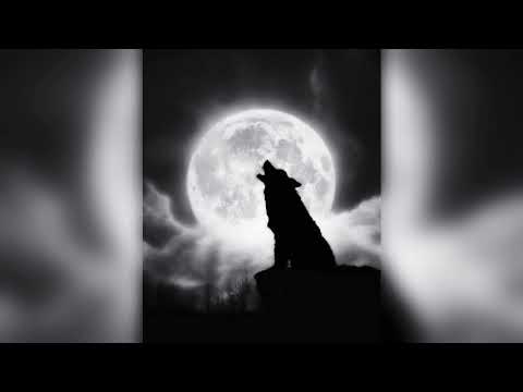 Remix Danheim Berserkir Slowed Reverb By Effect Turpal777