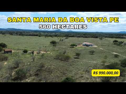 Fazenda Santa maria da Boa Vista PE, medindo 560 Hectares, Valor R$ 990.000,00