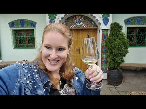 Wine tasting & Mikulov