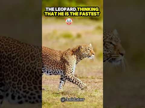 Wait For the Fastest ⚡️☠️