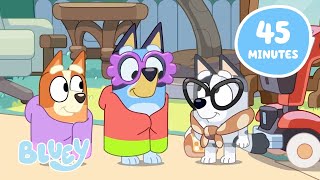 🔴LIVE: Playtime with the Cousins 💜 🤍 | Bluey Family Fun | Bluey