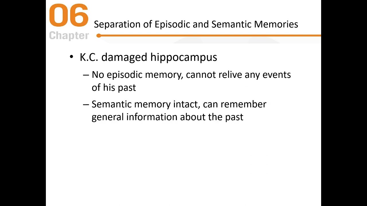 Cognitive Psychology - Chapter 6 Lecture