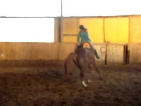 Upadek z konia, baranki i skok :D