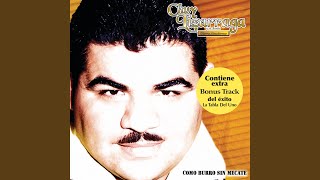 Como Burro Sin Mecate