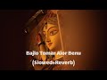 Bajlo Tomar Alor Benu DEBOLINA Slowed And Reverb