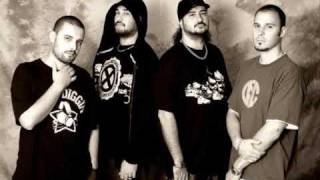 Violadores Del Verso   Alergia