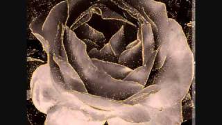 Fauvette.Gérard MANSET.wmv