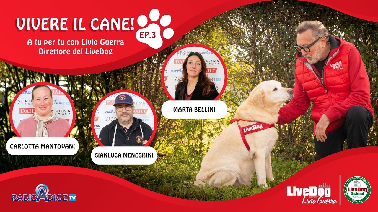 Descrizione dell'immagine