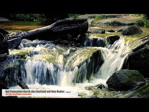 Karlstalschlucht Pfälzer Wald