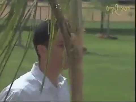 Chaim Israel - Malachim