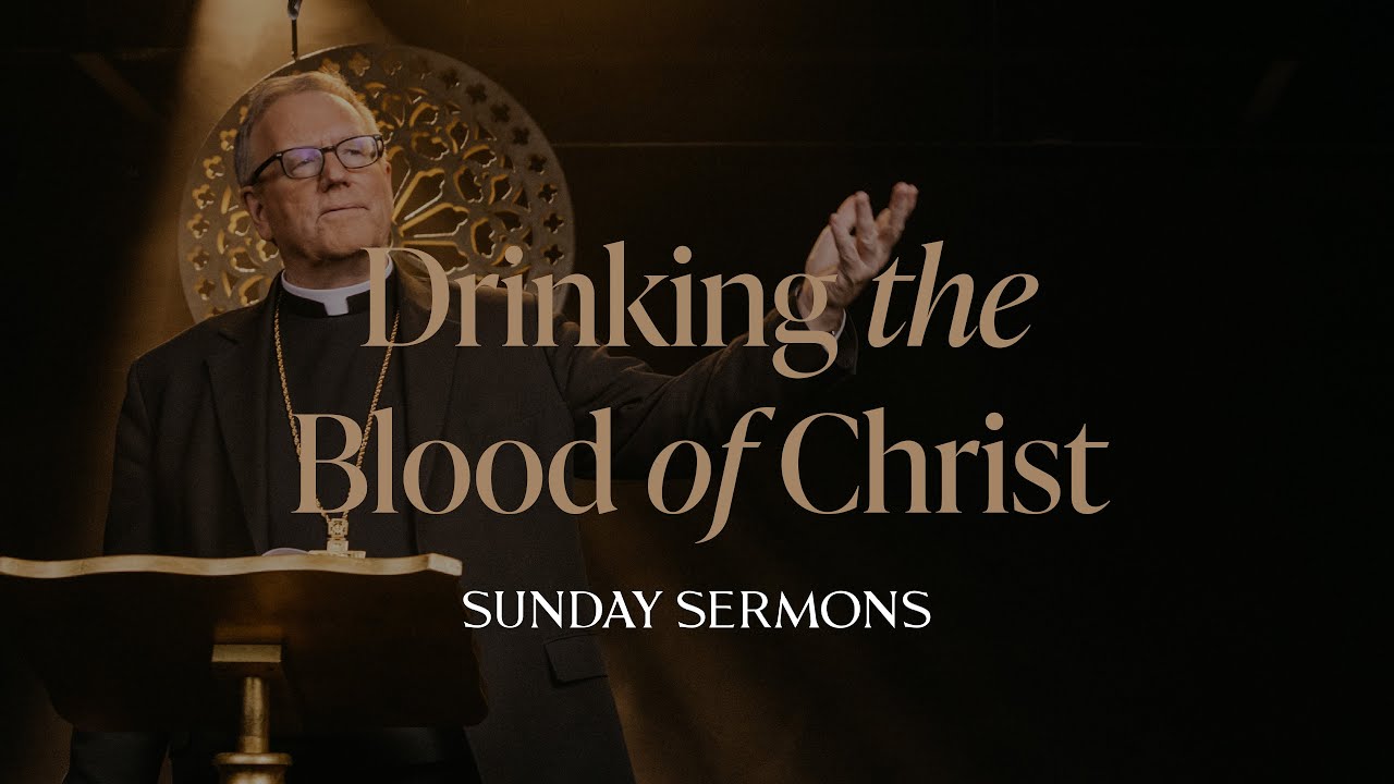 Sunday Sermon - Bishop Barron