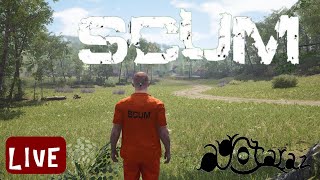 アジアサーバーの敵拠点訪問【SCUM】参加歓迎