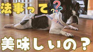 フレブルも初めて法事に参加してみた