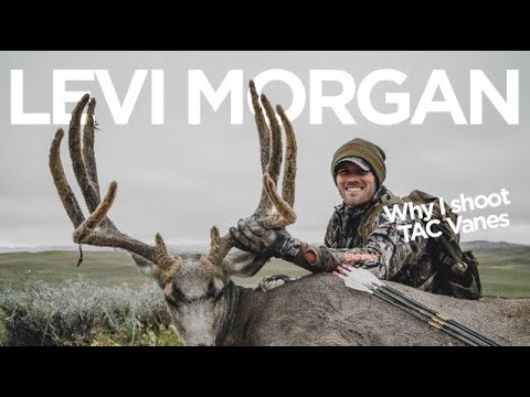 Levi Morgan - "Why I use TAC Vanes"