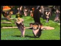 I like to move it move it - Madagascar (Remake ...