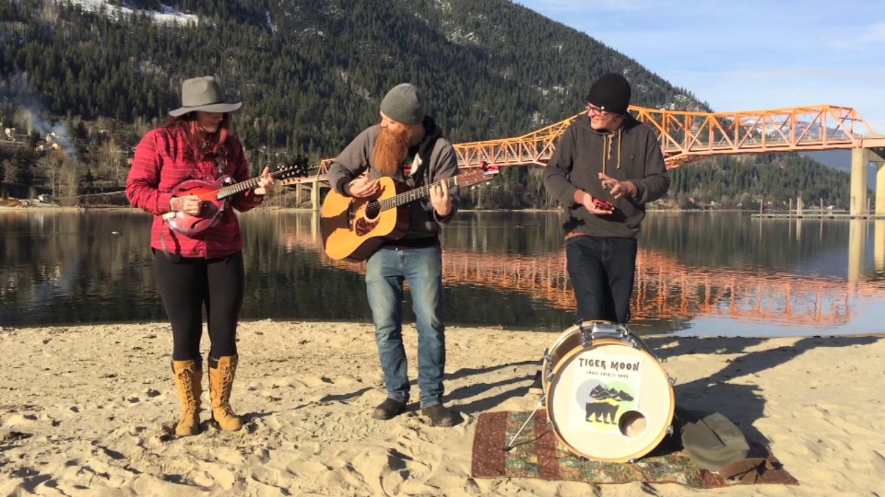 Steve Earle - Galway Girl (Tiger Moon Cover)