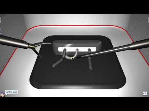 LapSim Ligating Loop