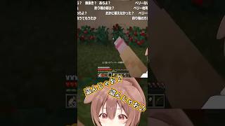 【ホロライブ切り抜き】《マインクラフト》悪いことするも即ばれするころさん