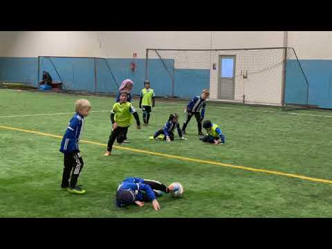 20.11.2021 P2014: RiPS Pinkki - HyPS Sininen