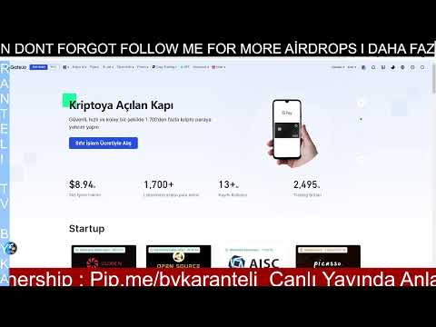 Project Review Picasso Network  l Gate Live