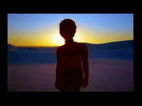 Pappa Bear feat. Jan Van Der Toorn - When the rain begins to fall (1998)