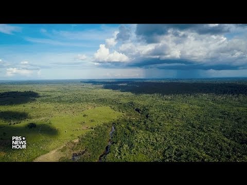 Amazon forest guardians fight to prevent catastrophic tipping point