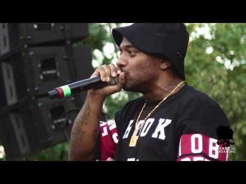 Thumbnail for Mobb Deep live at Queensbridge Park on July 17, 2014 by Mobb deep