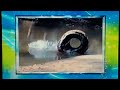 America S Funniest Home Videos Honorable Mentions Season 25 Episode 8 2014
