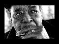 James Cotton - Cross Your Heart. Drum & Bass Backing Track Cm + Tabs.