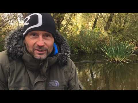 Verzetsgroep de Linie-Crossers: via de Biesbosch van bezet naar bevrijd Nederland