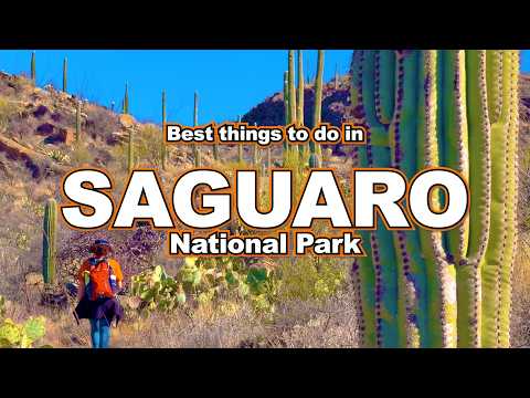 Best Things to do in Saguaro National Park 🌵 (Ultimate Arizona Travel Guide)