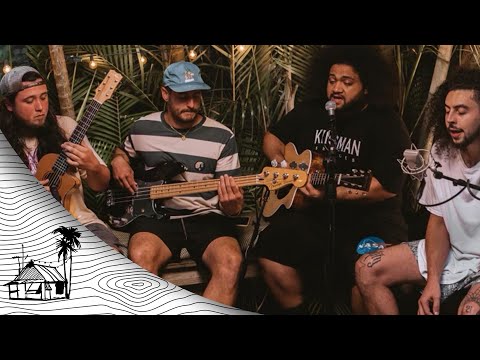 Native Leaves - Plug (Live Music) | Sugarshack Sessions