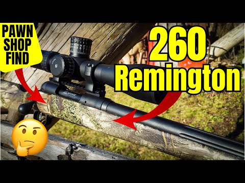 260 Remington Pawn Shop Find - Will It Shoot???