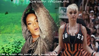 Calvin Harris &amp; Katy Perry - This Is What You Came For / Swish Swish (Mashup)