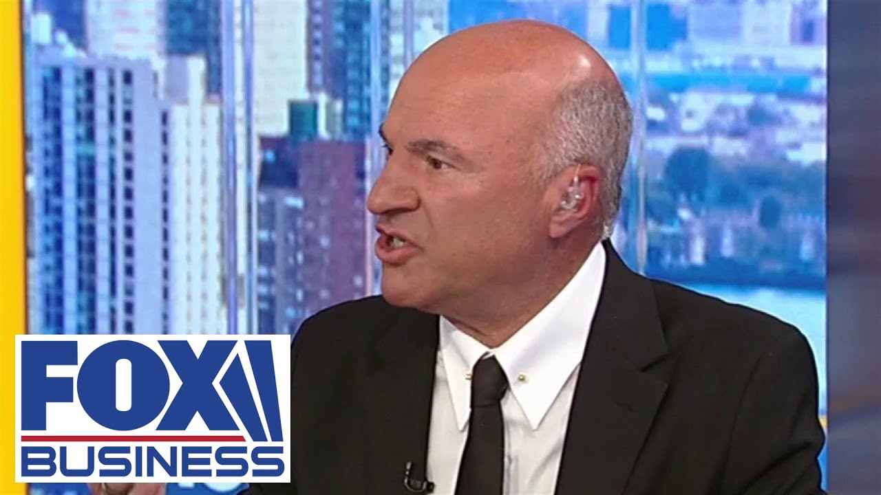 ‘DOESN’T CHANGE ANYTHING’: Kevin O’Leary makes prediction over DOGE