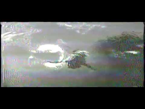 A Moment for the Flowers - Void Boys